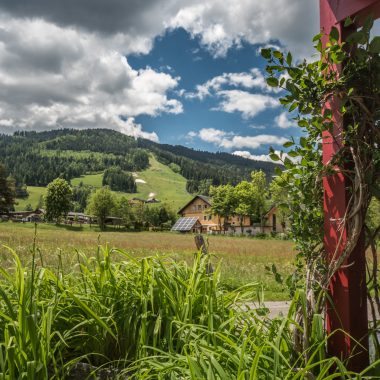 DSC_4440-50
