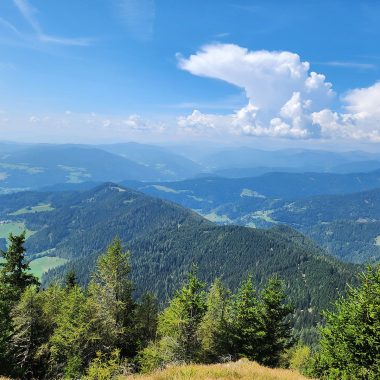 Landschaft